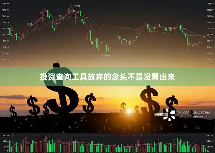 投资查询工具放弃的念头不是没冒出来