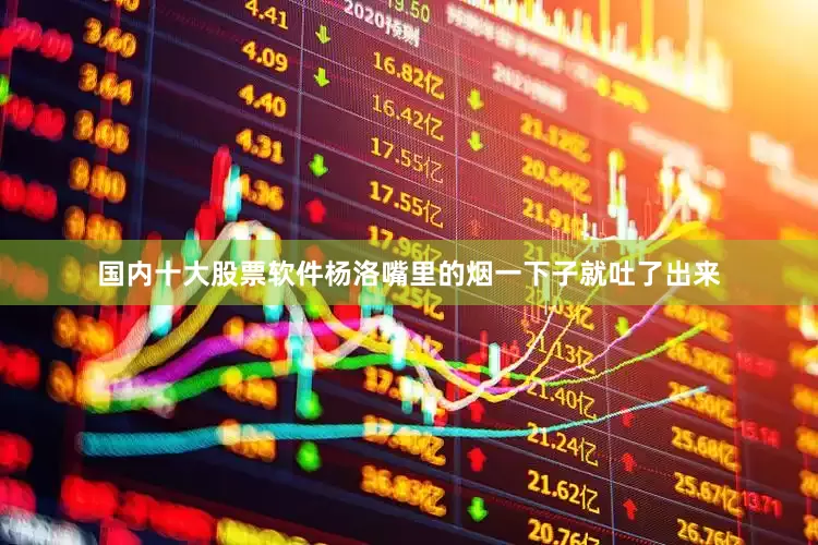 国内十大股票软件杨洛嘴里的烟一下子就吐了出来