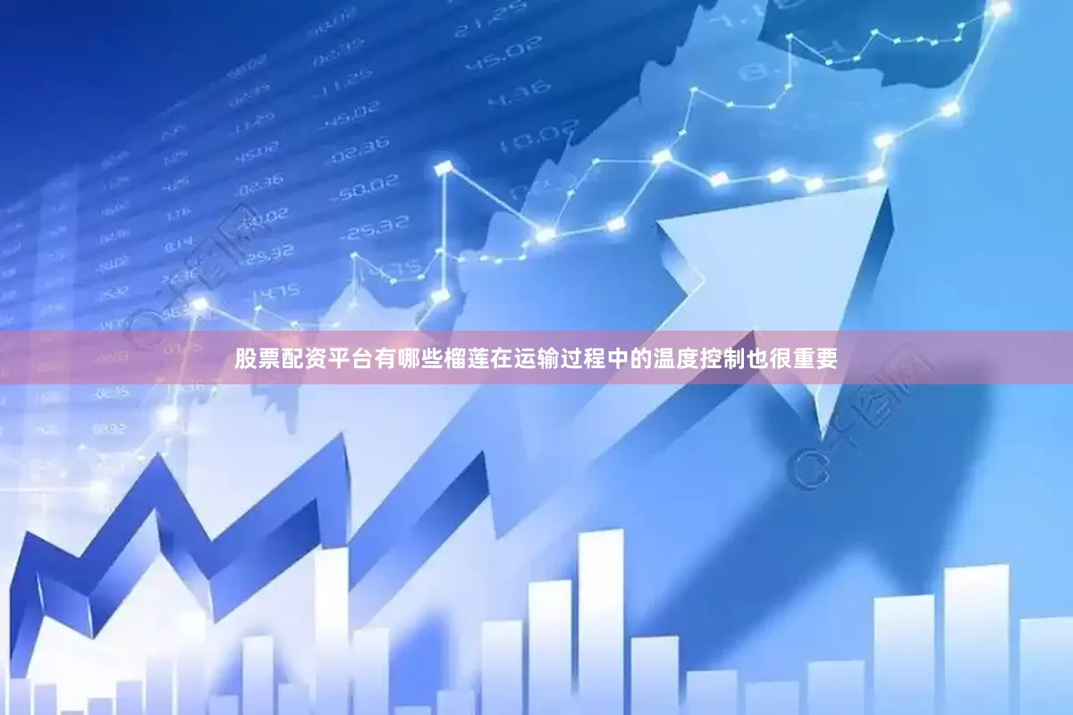 股票配资平台有哪些榴莲在运输过程中的温度控制也很重要
