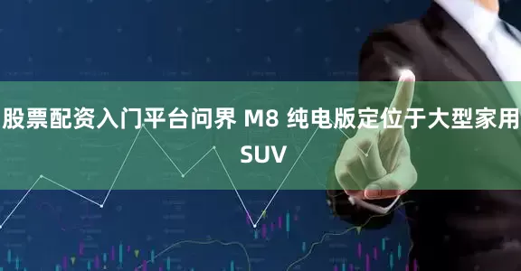 股票配资入门平台问界 M8 纯电版定位于大型家用 SUV