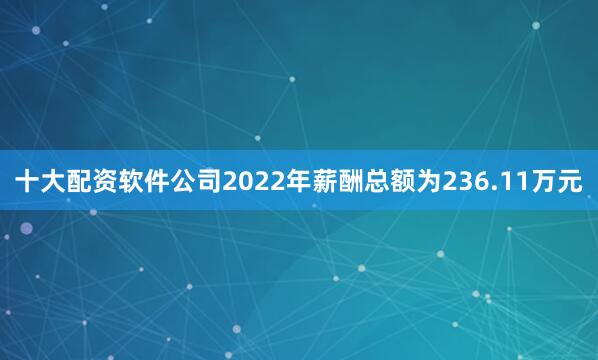 十大配资软件公司2022年薪酬总额为236.11万元
